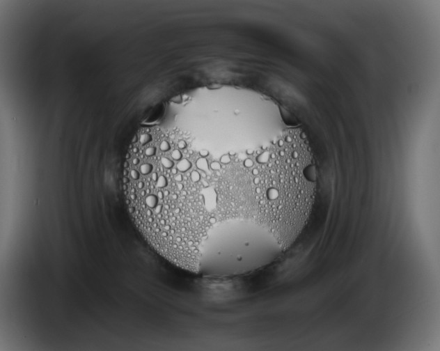 X0000086340181200704131751