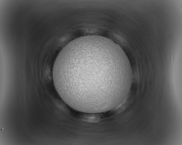 X0000086340187200704131751
