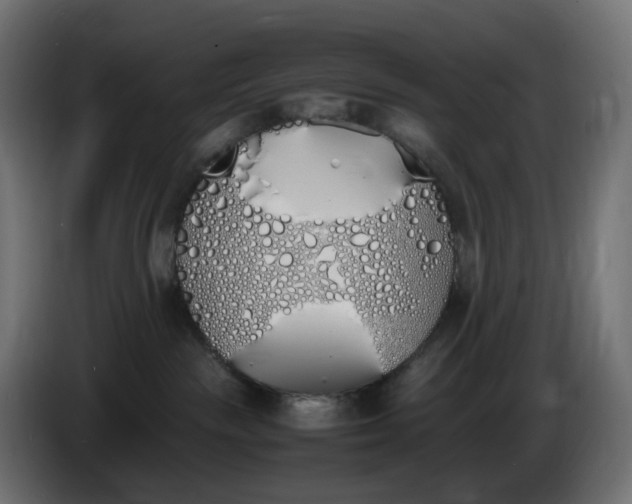 X0000086340189200704131751