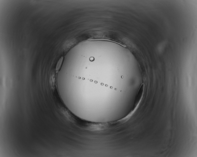 X0000086340190200704131751