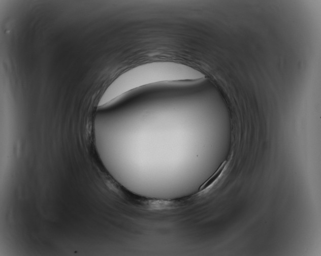 X0000086340192200704131752