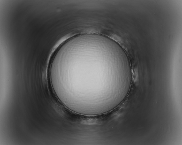 X0000086340196200704131751