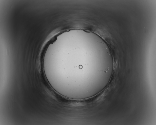 X0000086340198200704131751