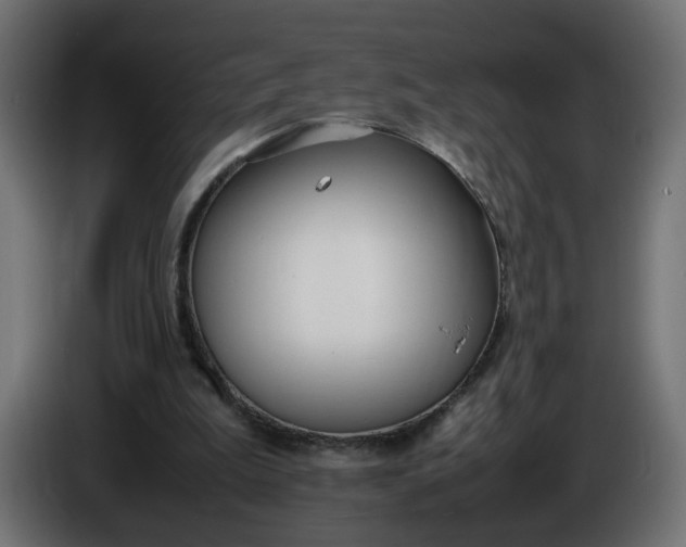 X0000086340199200704131751
