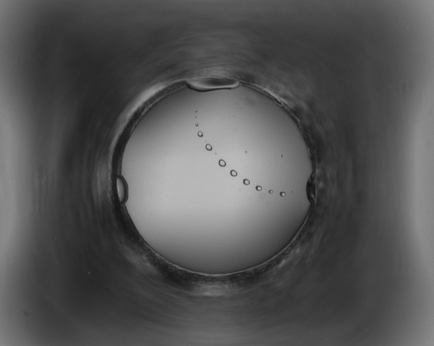 X0000086340200200704131751