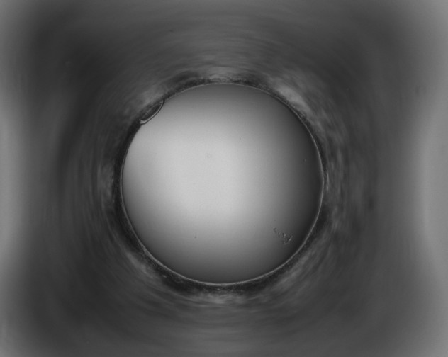 X0000086340201200704131751