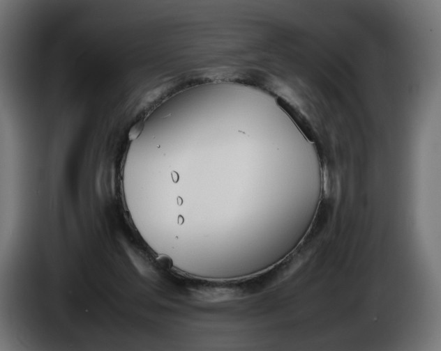 X0000086340205200704131751