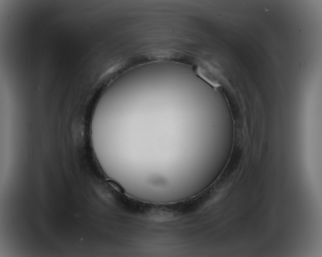 X0000086340207200704131751