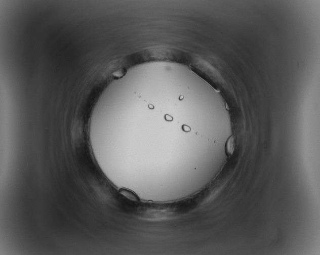 X0000086340213200704131751