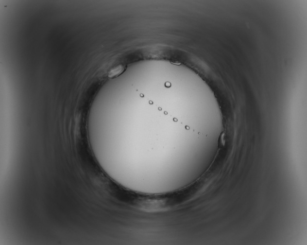 X0000086340217200704131751