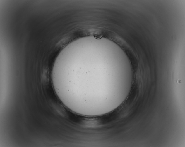 X0000086340218200704131750