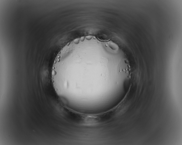 X0000086340222200704131750