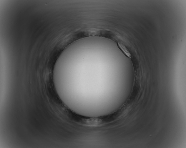 X0000086340225200704131750