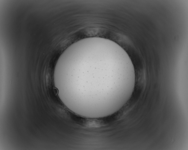 X0000086340226200704131750