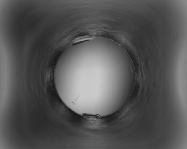 X0000086340233200704131750