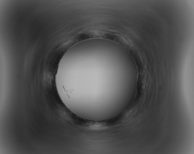 X0000086340235200704131750