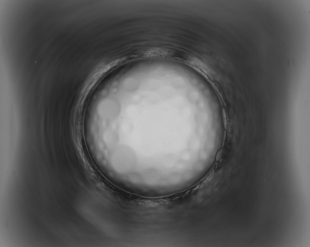 X0000086340241200704131750