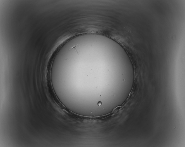 X0000086340242200704131750
