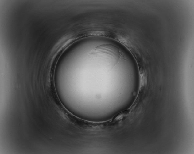 X0000086340243200704131750