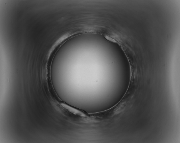 X0000086340244200704131750