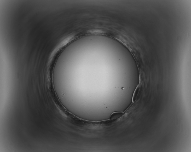 X0000086340245200704131750