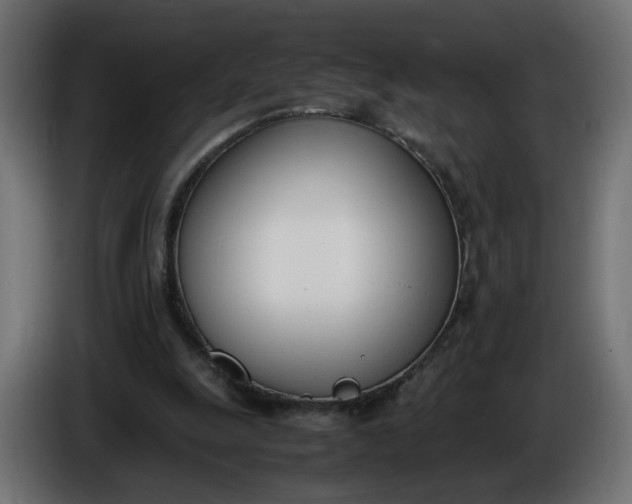 X0000086340247200704131750