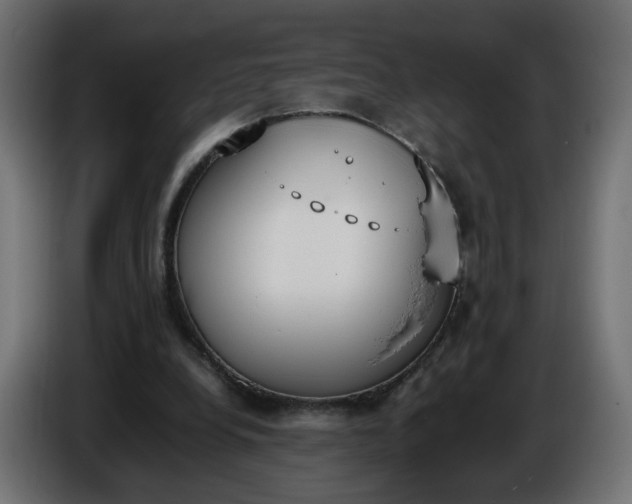 X0000086340248200704131750