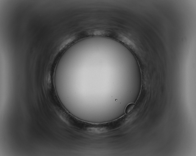 X0000086340251200704131750