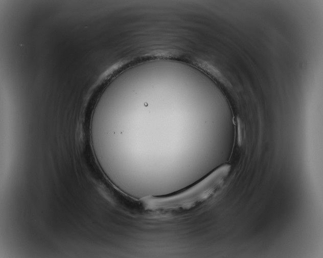 X0000086340252200704131750