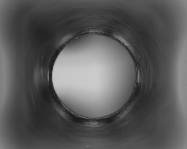 X0000086340253200704131750
