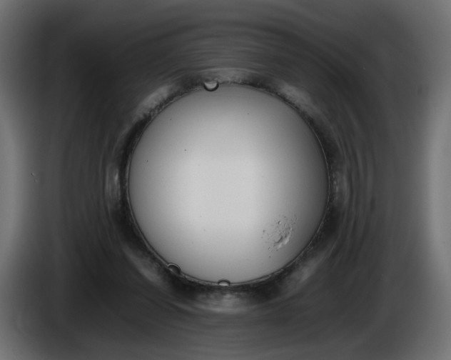 X0000086340254200704131750
