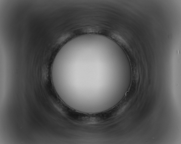 X0000086340255200704131750