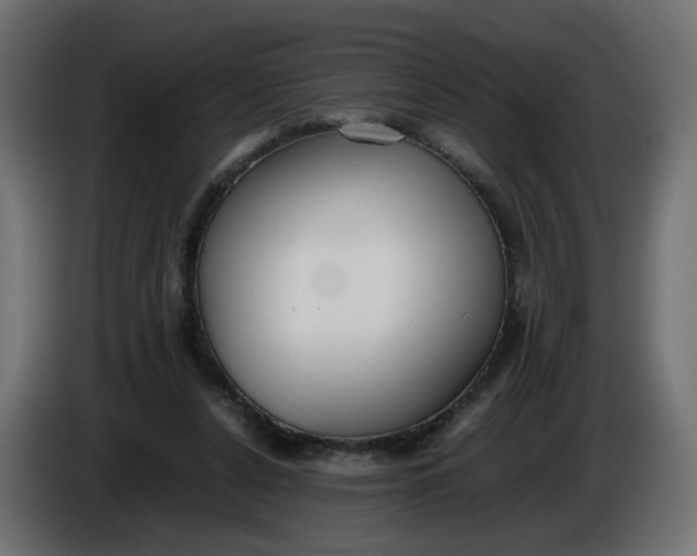 X0000086340256200704131750