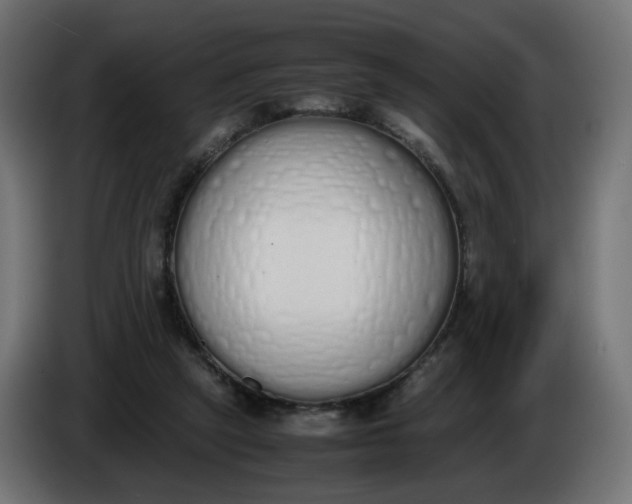 X0000086340257200704131750