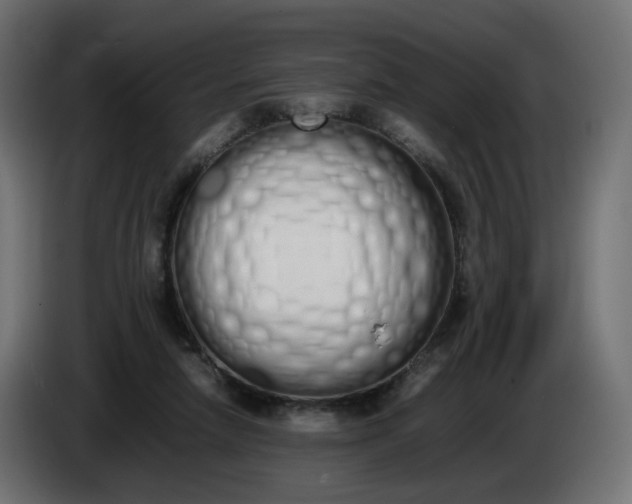 X0000086340258200704131750