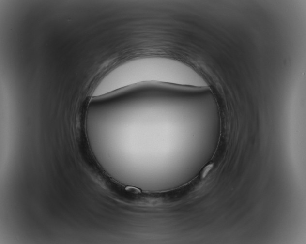X0000086340260200704131750