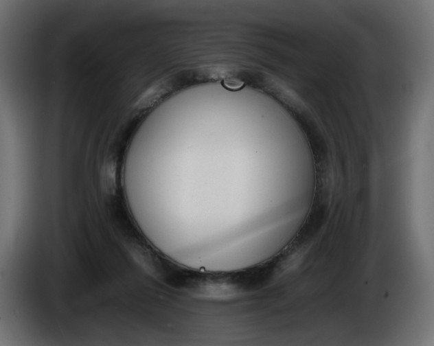 X0000086340262200704131750
