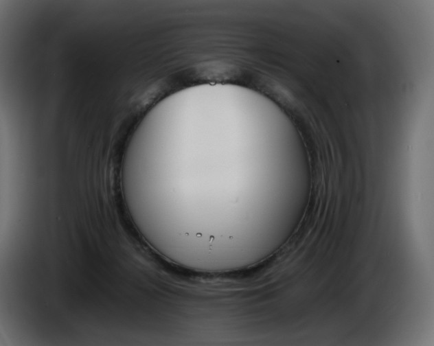 X0000086340268200704131750