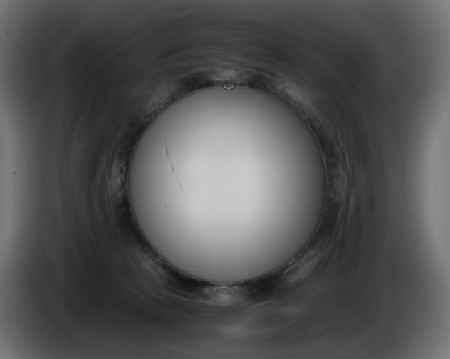X0000086340273200704131750