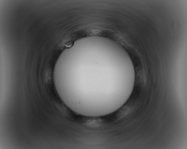 X0000086340274200704131750