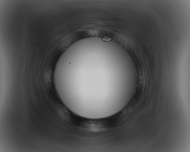 X0000086340275200704131750