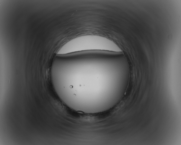 X0000086340276200704131750