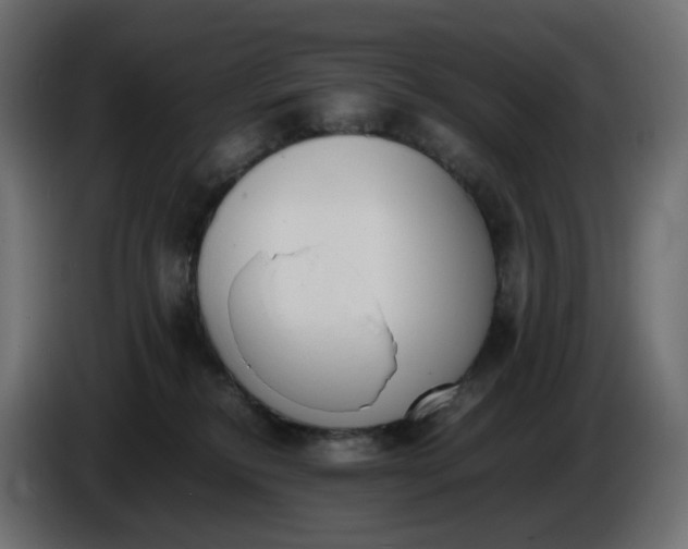 X0000086340278200704131750