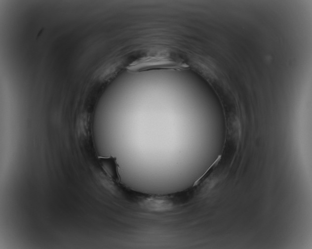 X0000086340280200704131750