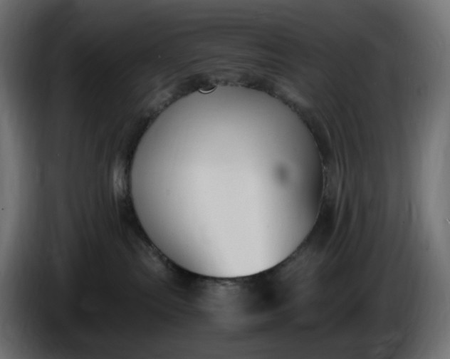 X0000086340287200704131750