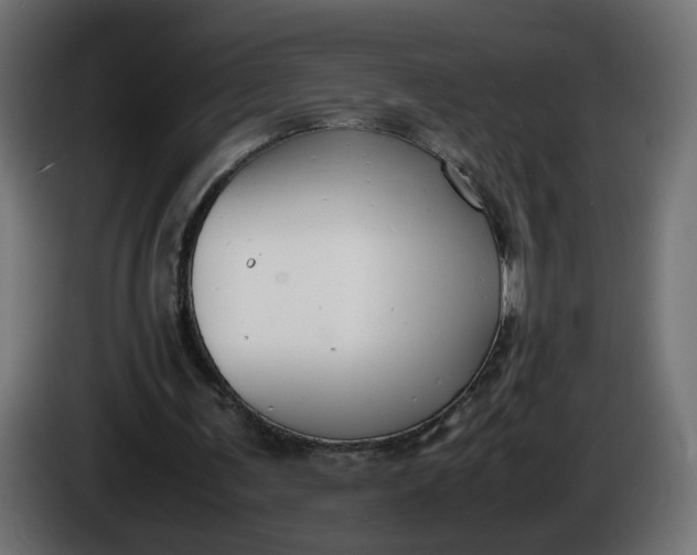 X0000086340291200704131749