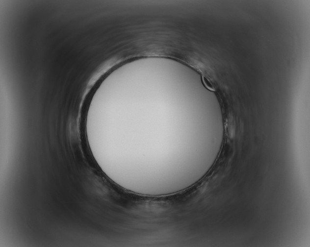 X0000086340292200704131749