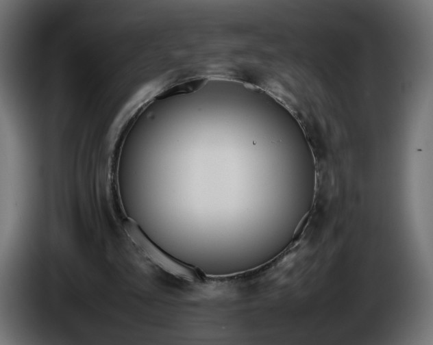 X0000086340293200704131749