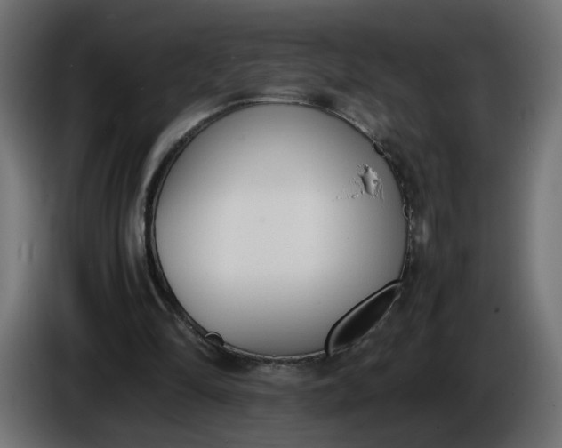 X0000086340294200704131749