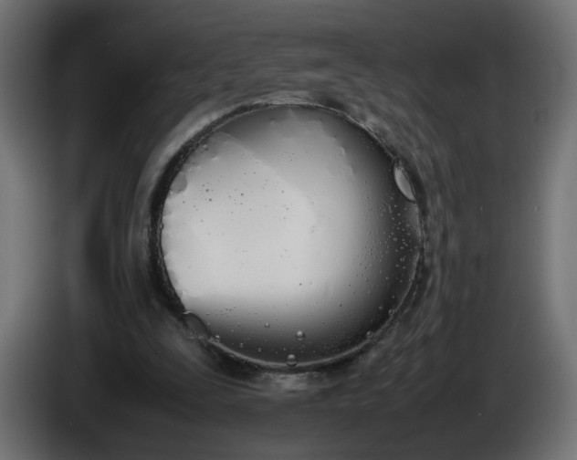 X0000086340295200704131749